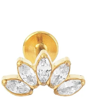 Piercing Labret Cinco Navetes Titânio PVD