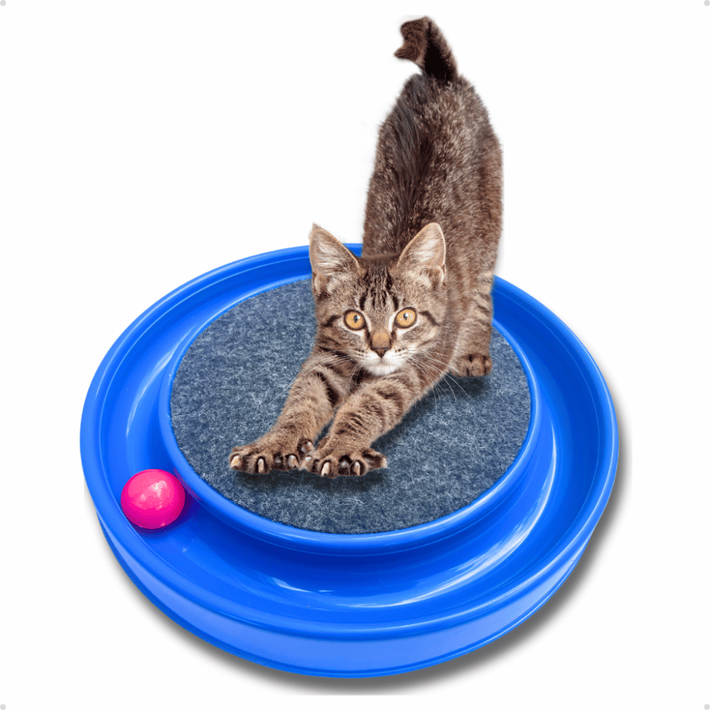 Brinquedo Arranhador Redondo Com Bolinha - Brinquedo Antiestresse Para Gatos