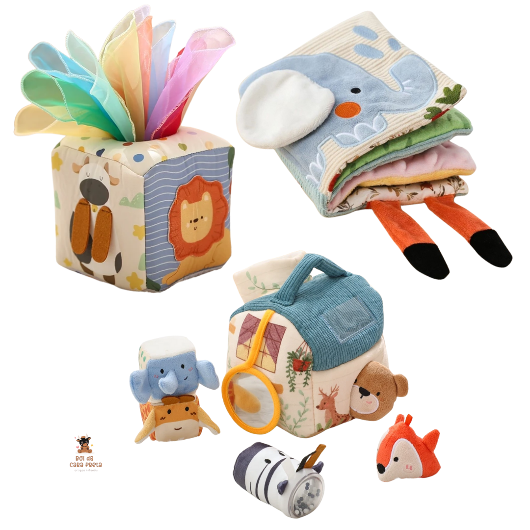 BLACK FRIDAY - Kit Primeiros Sentidos