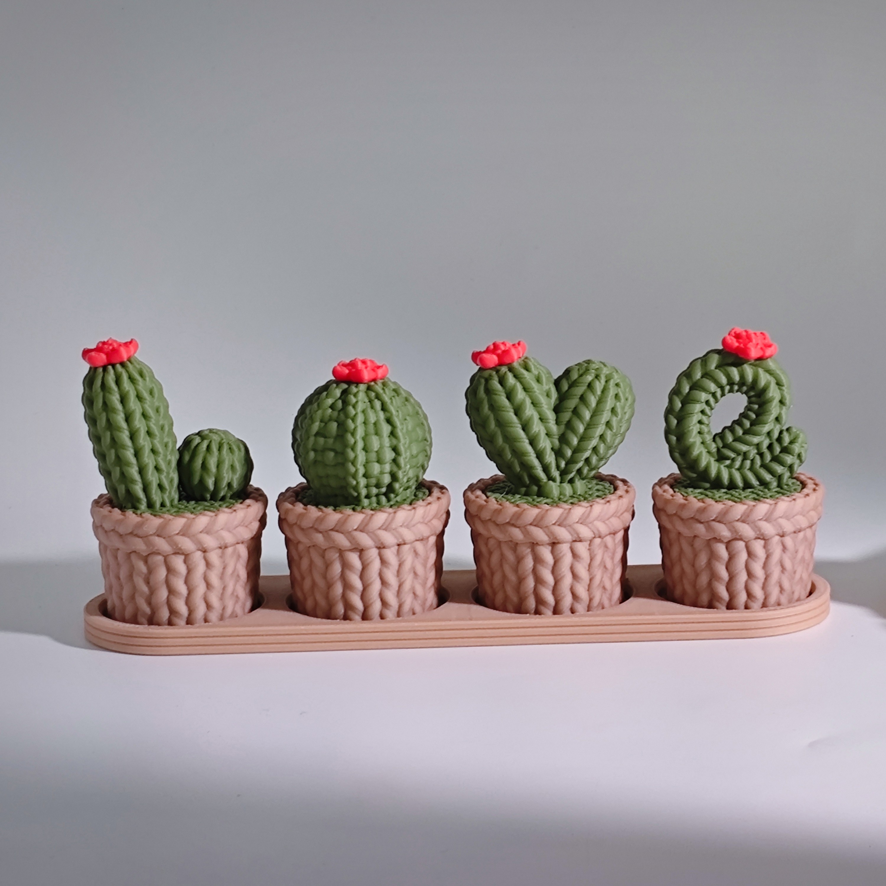 Vasos Decorativos  LOVE com Cactos