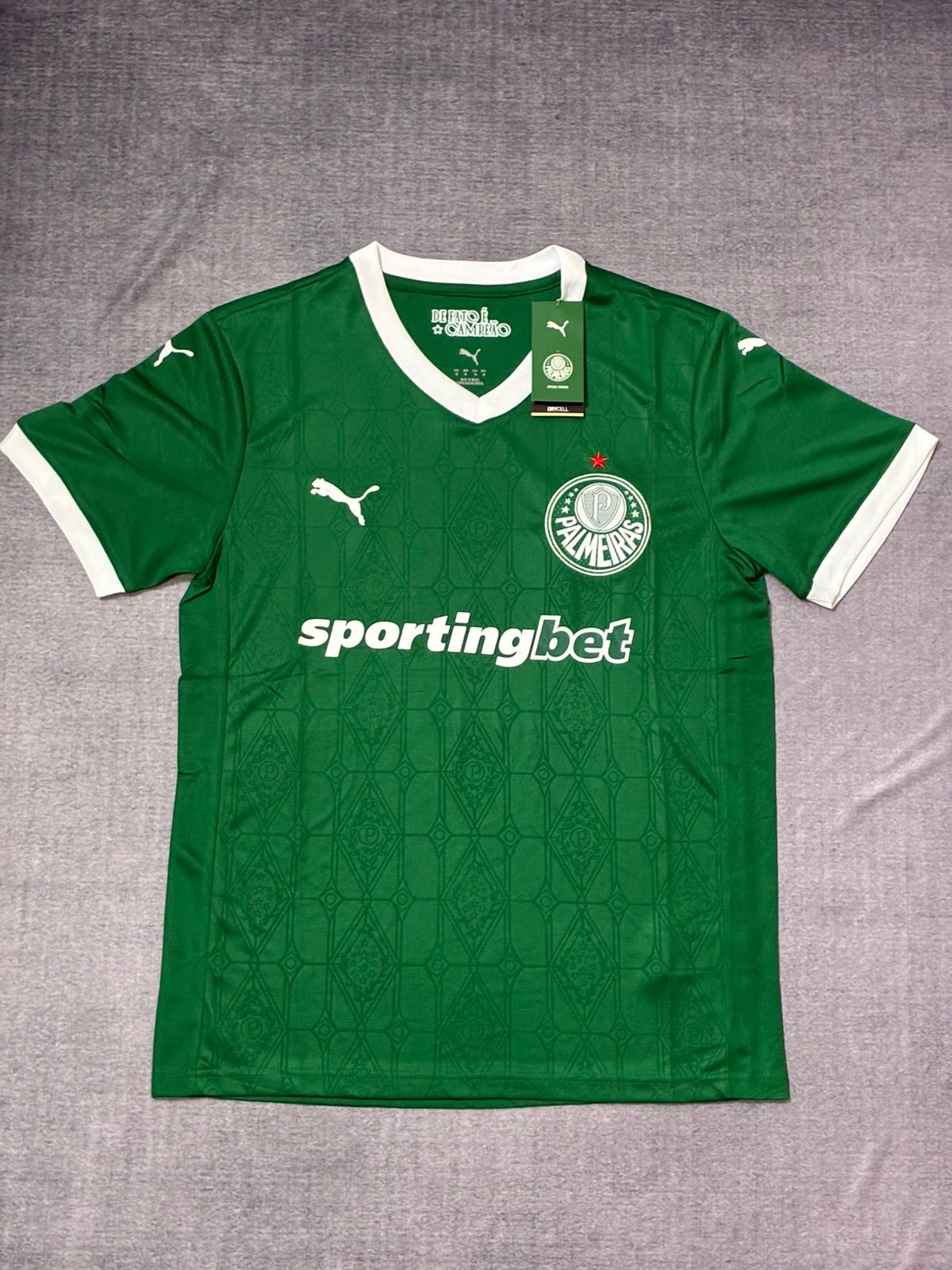 Camisa Palmeiras 25/26 (1.1)