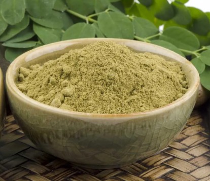 Moringa em Pó