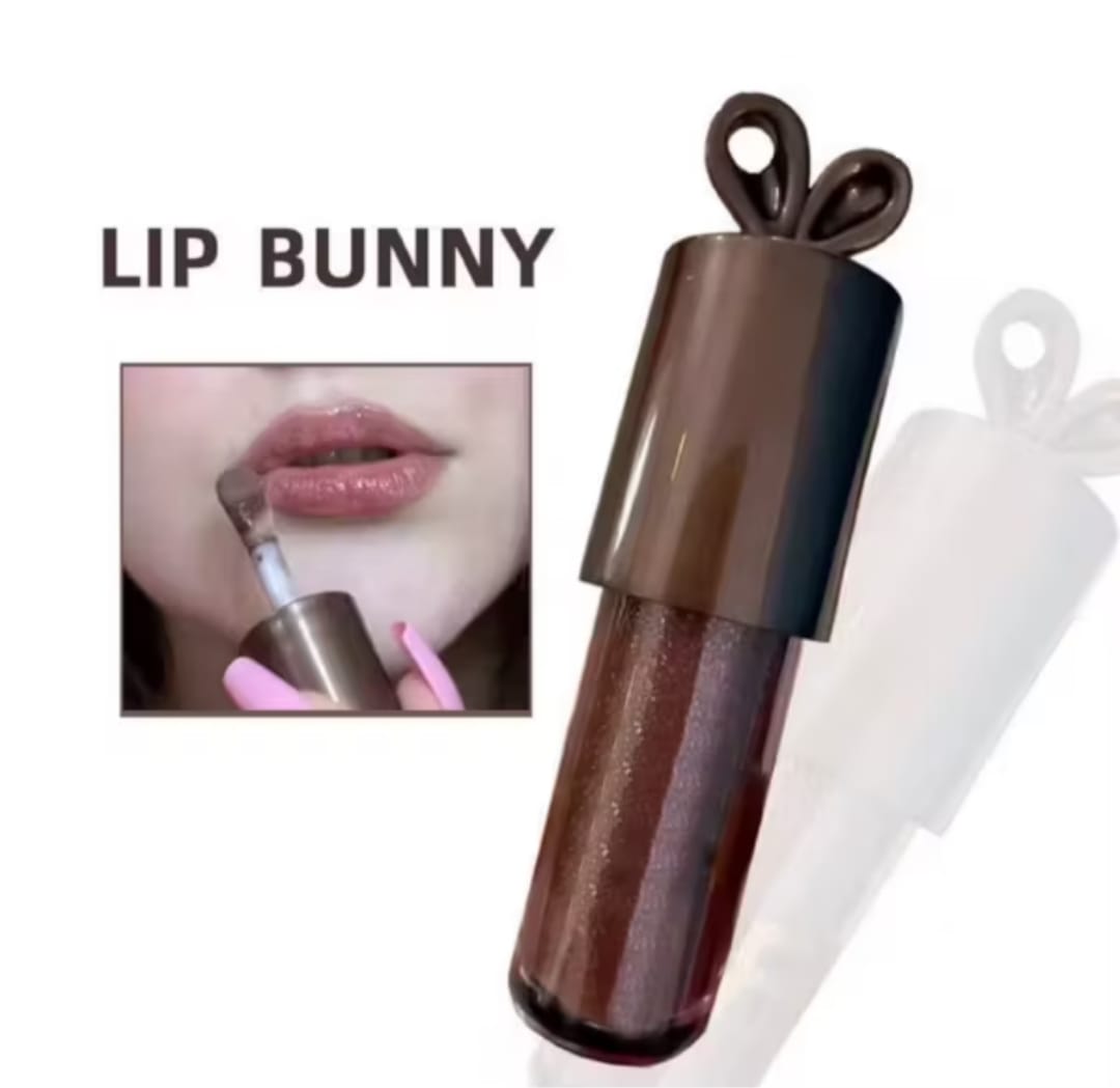 LIP GLOSS CHOCOLATE DUPE DA FRAN