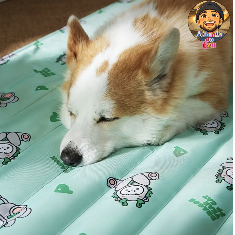 13 - Tapete Pet Gelado Resfrescante 60*90cm para Cães e Gatos