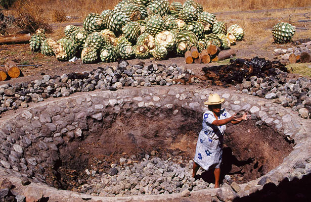 Forno de pedra tradicional subterrâneo para cozedura de corações de agave na produção artesanal de mezcal mexicano.
