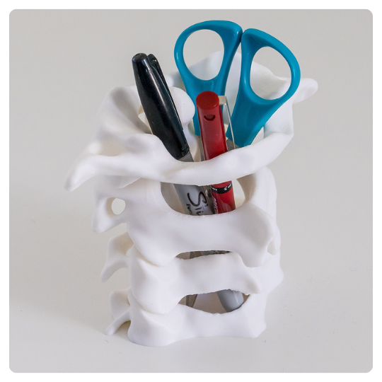 Porta Canetas em Formato de Coluna Vertebral