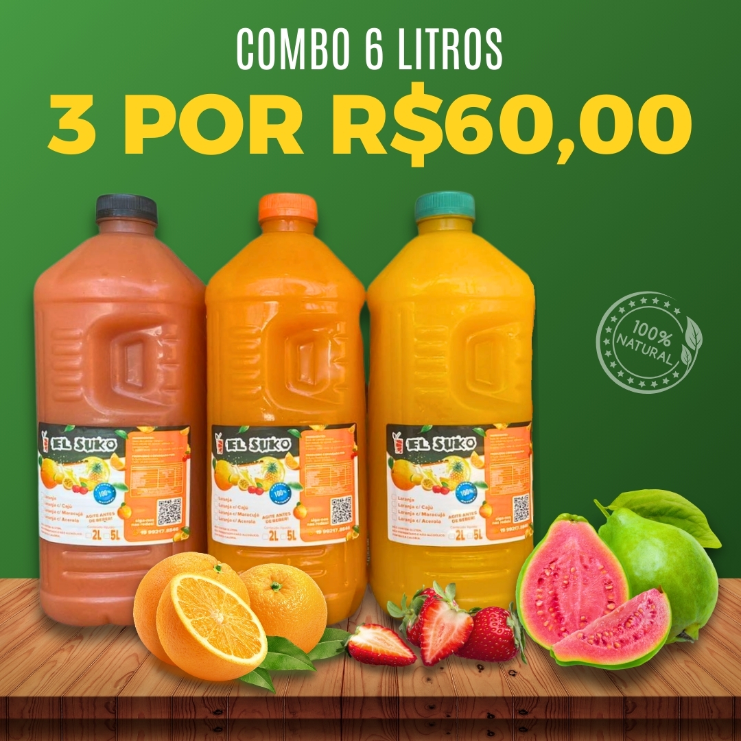 COMBO 6 LITROS - 3 garrafas de 2 Litros