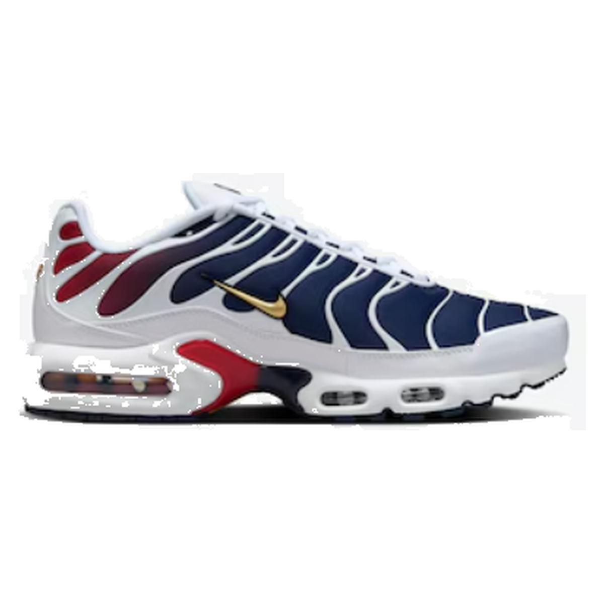 Air Max Plus TN PSG