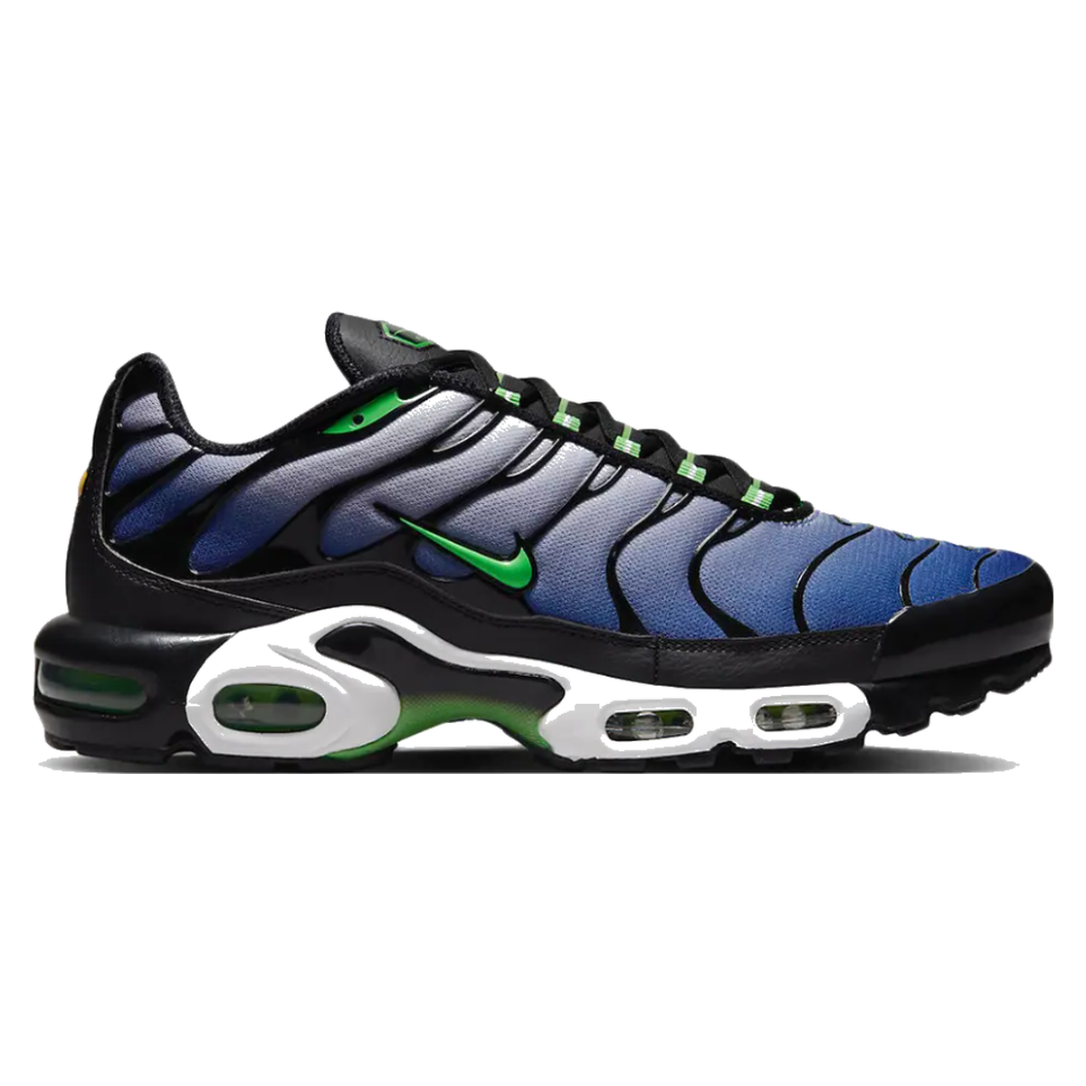 Air Max Plus TN Icons