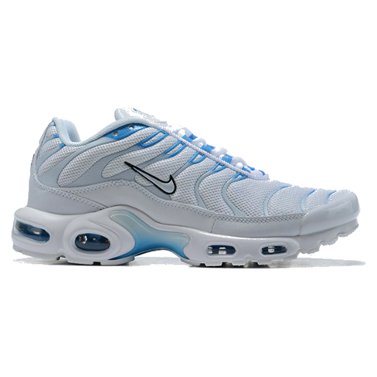 Air Max Plus TN Blue Flury