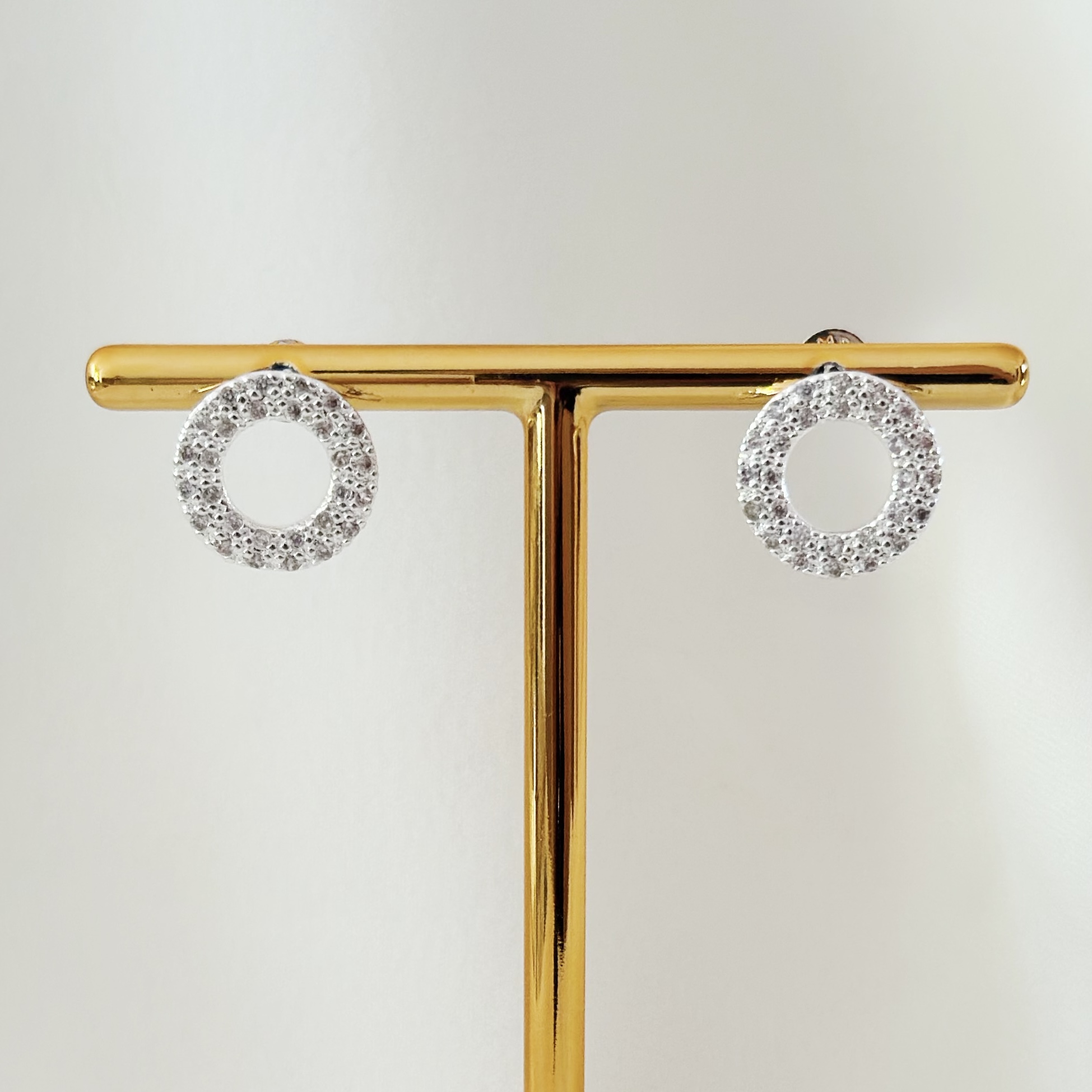 Brinco Círculo Cravejado