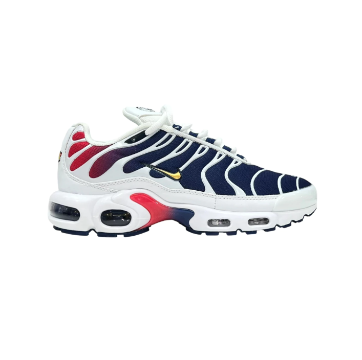 Nike Air Max TN PSG