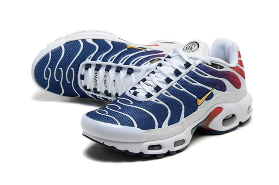 Air max Plus Tn 1 - Psg