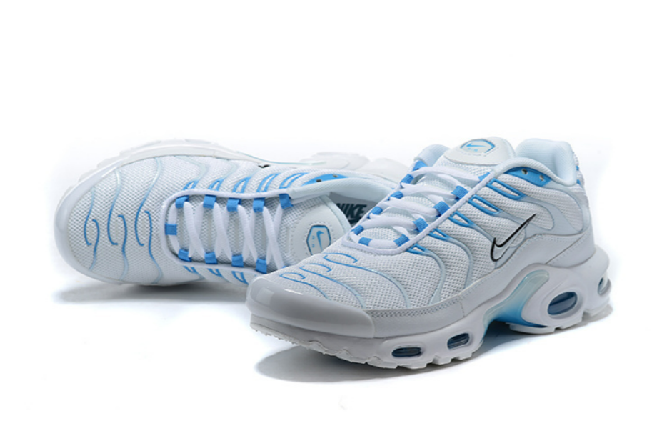 Air max Plus Tn 1 - Blue Fury