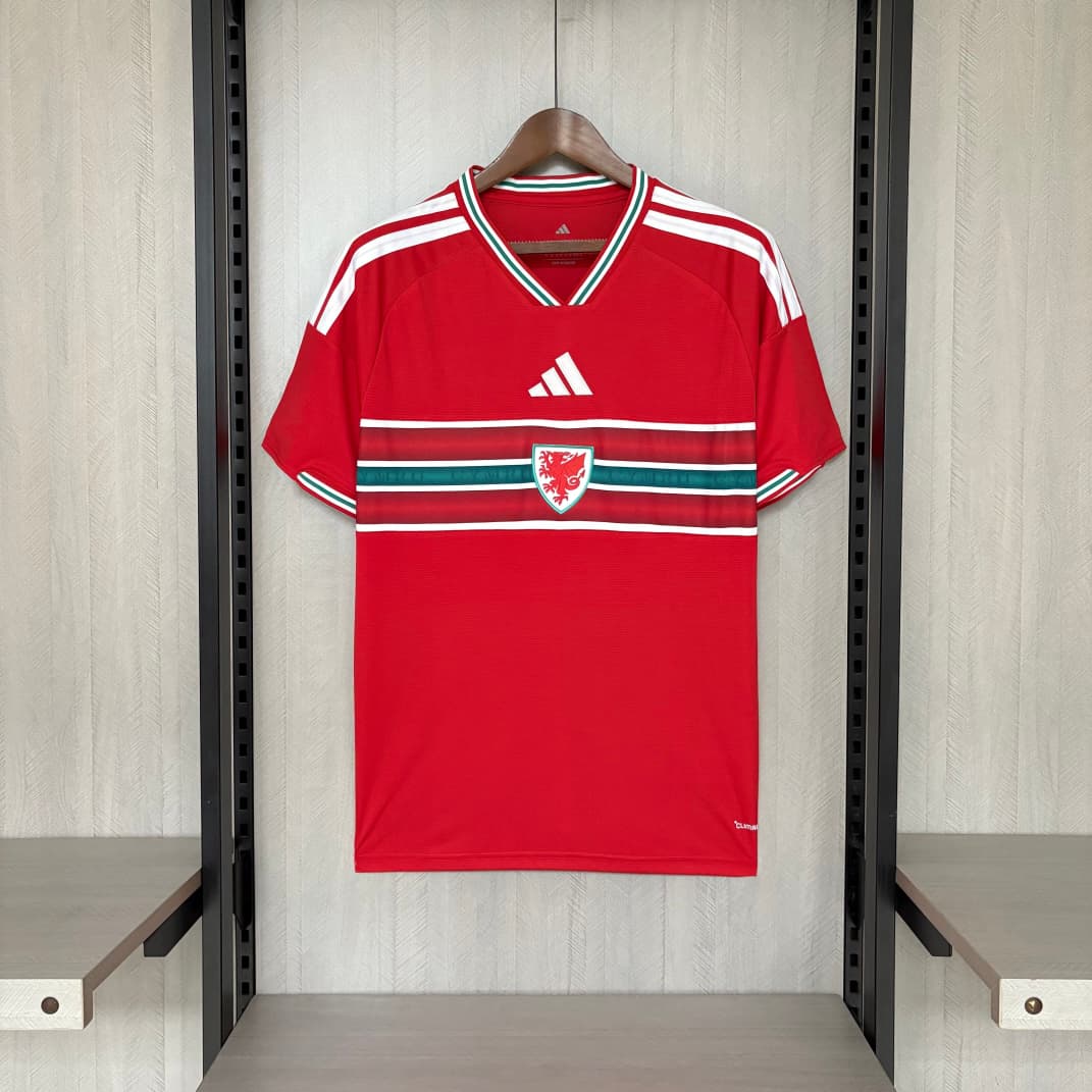 PAIS DE GALES - HOME 2026