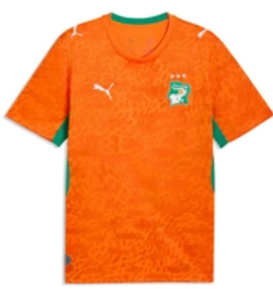 Camisa Seleção Costa do Marfim - Versão Torcedor - Masculina