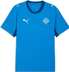 Camisa Seleção Islândia - Versão Torcedor - Masculina