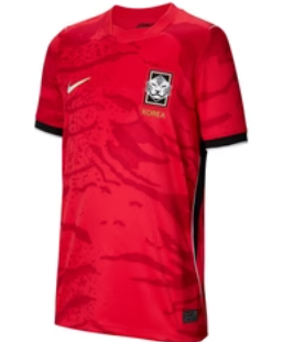 Camisa Seleção Coréia do Sul - Versão Torcedor -Masculina