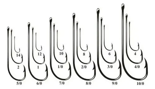 69fa2fd516b5b.jpg