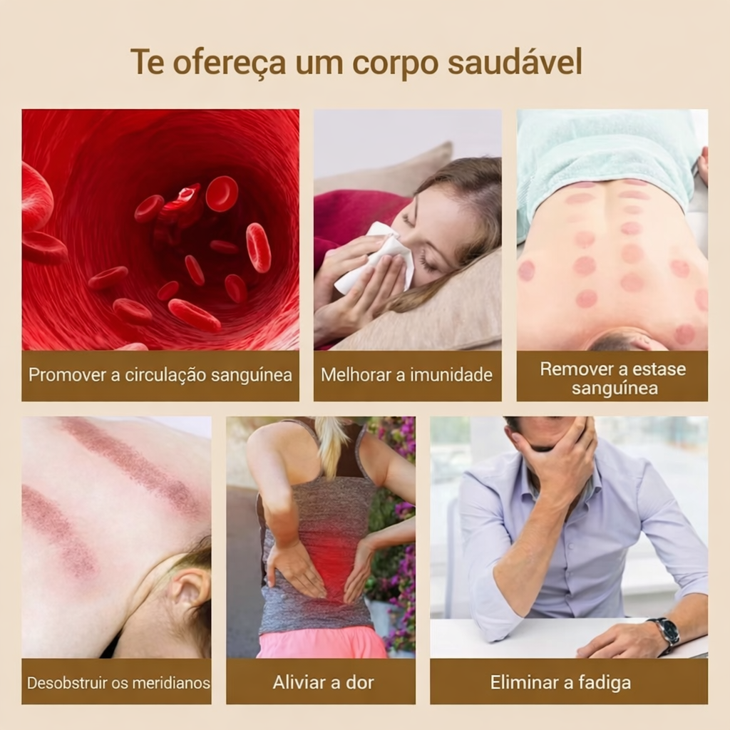 6a05df77a96ee.png