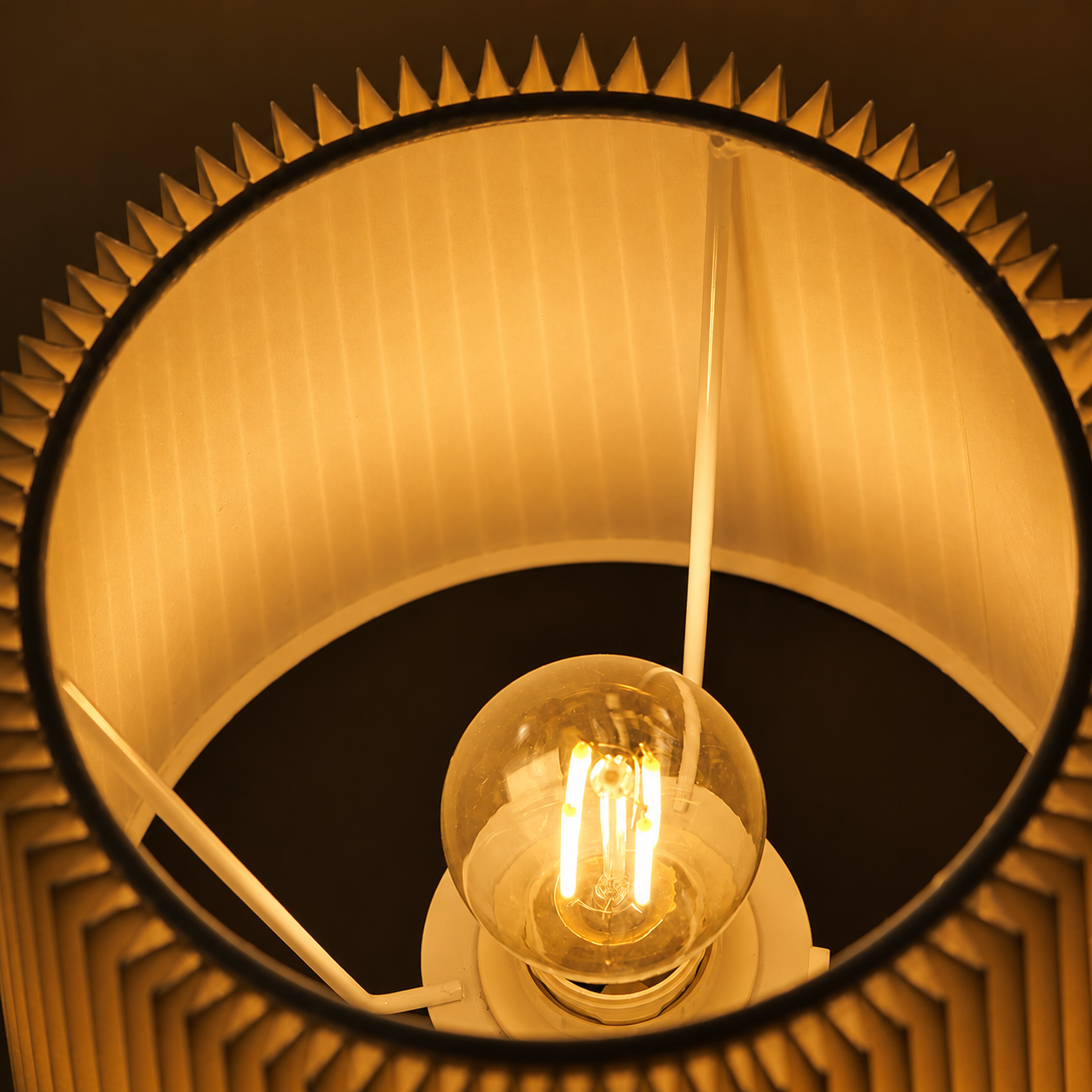 6a061946d7a6f.png