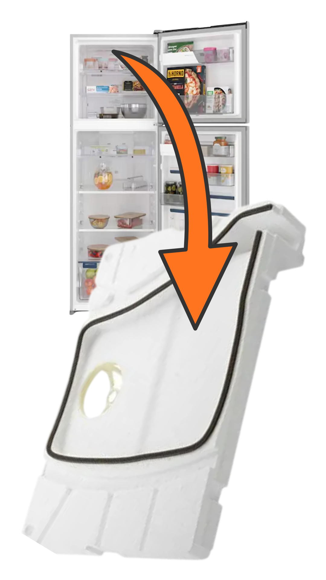 6a16eb88551f5.png