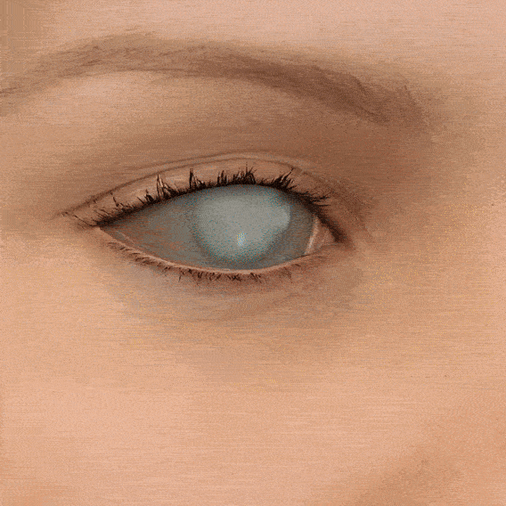 6a45468adee2c.gif