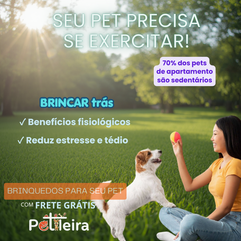 6a45ef827e013.png