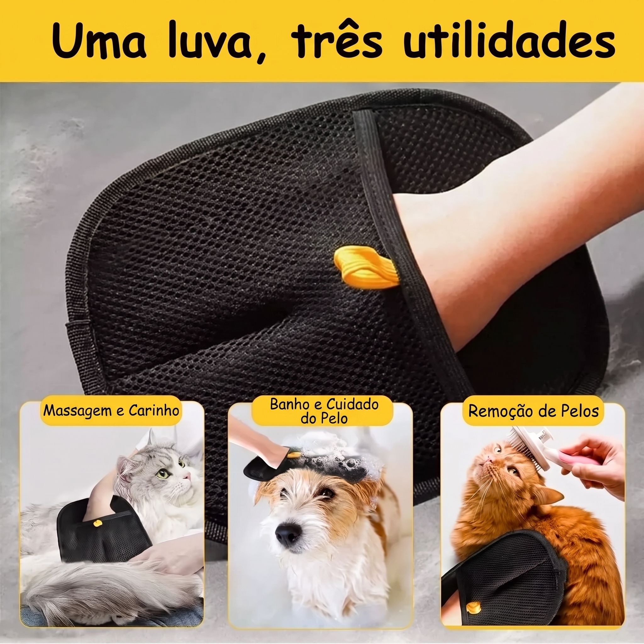 6a489bde3b3a4.jpg