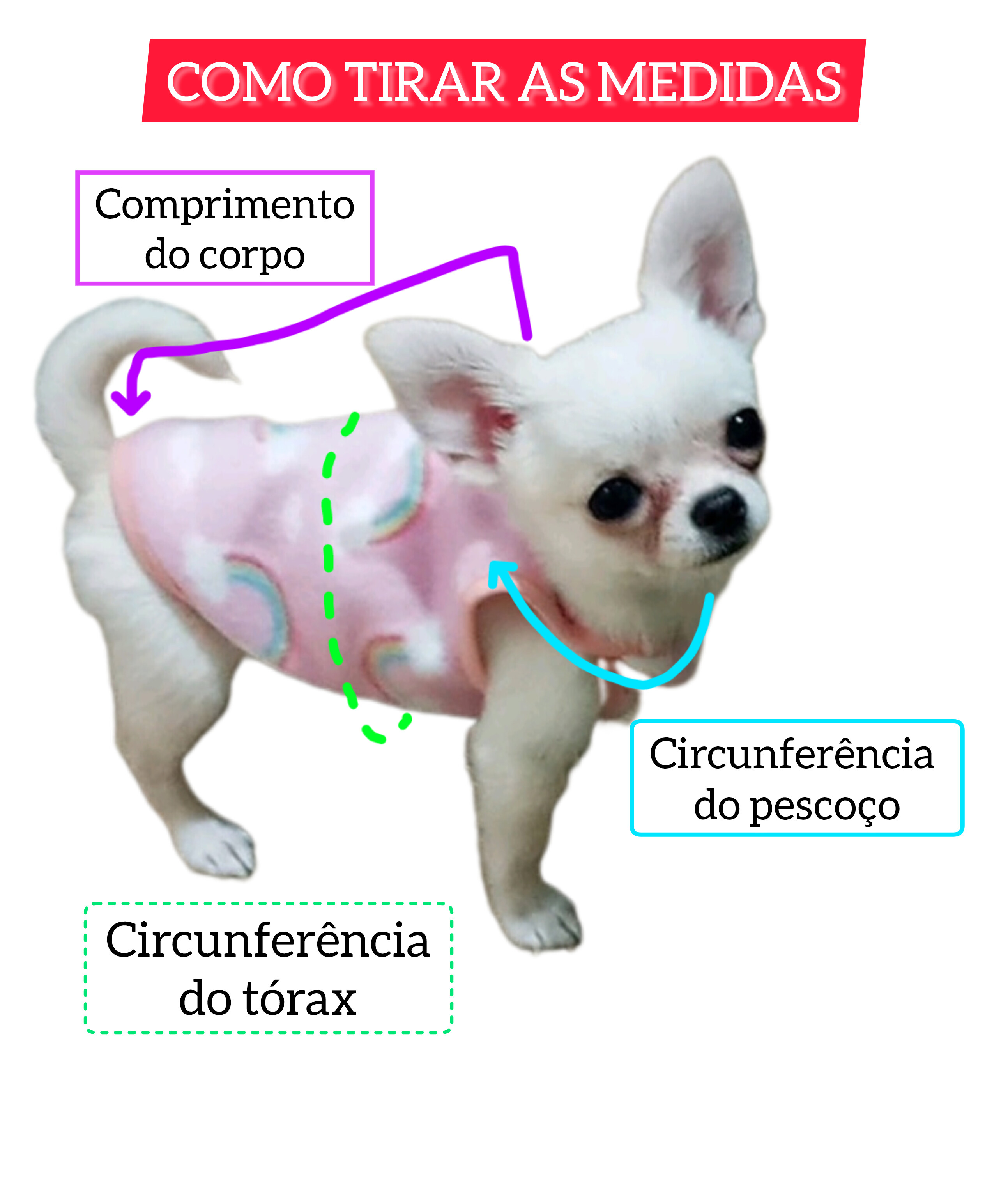 6a4dc4fb5ce7a.jpg