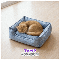 6a4f509c6be3b.gif