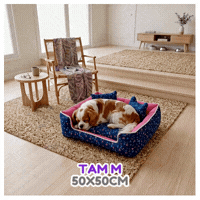 6a4f50ae2da77.gif