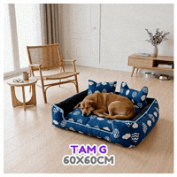 6a4f50c1bdc55.gif
