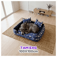 6a4f50e999854.gif