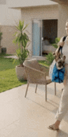6a503569d968b.gif