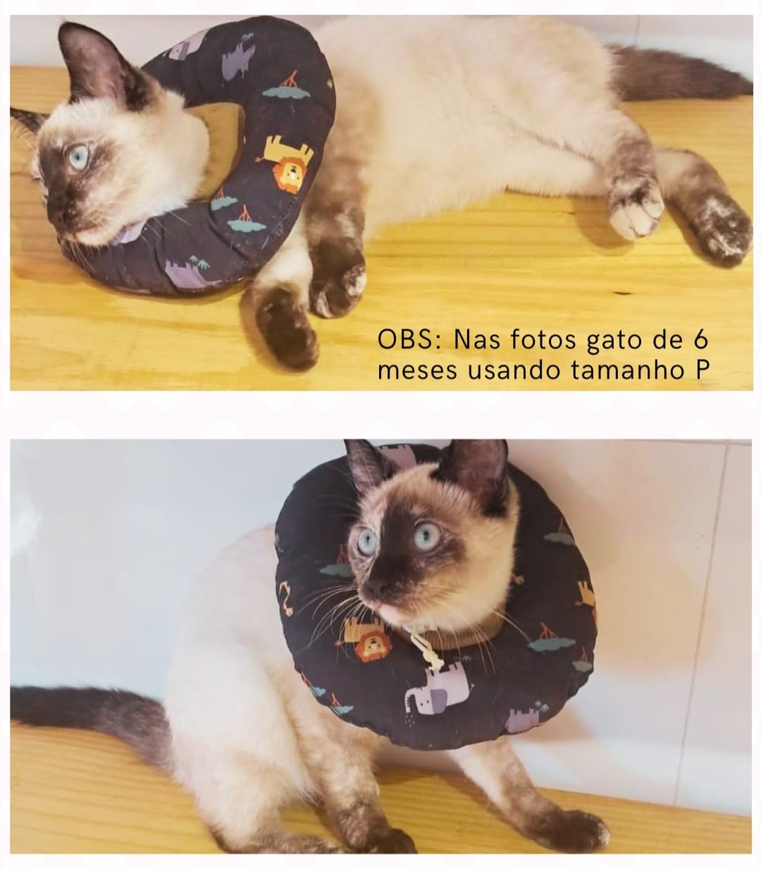 6a54f33b82da8.jpeg