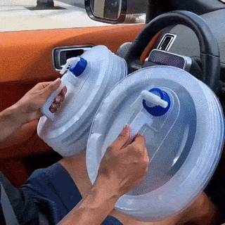 6a55bfd0e589c.gif