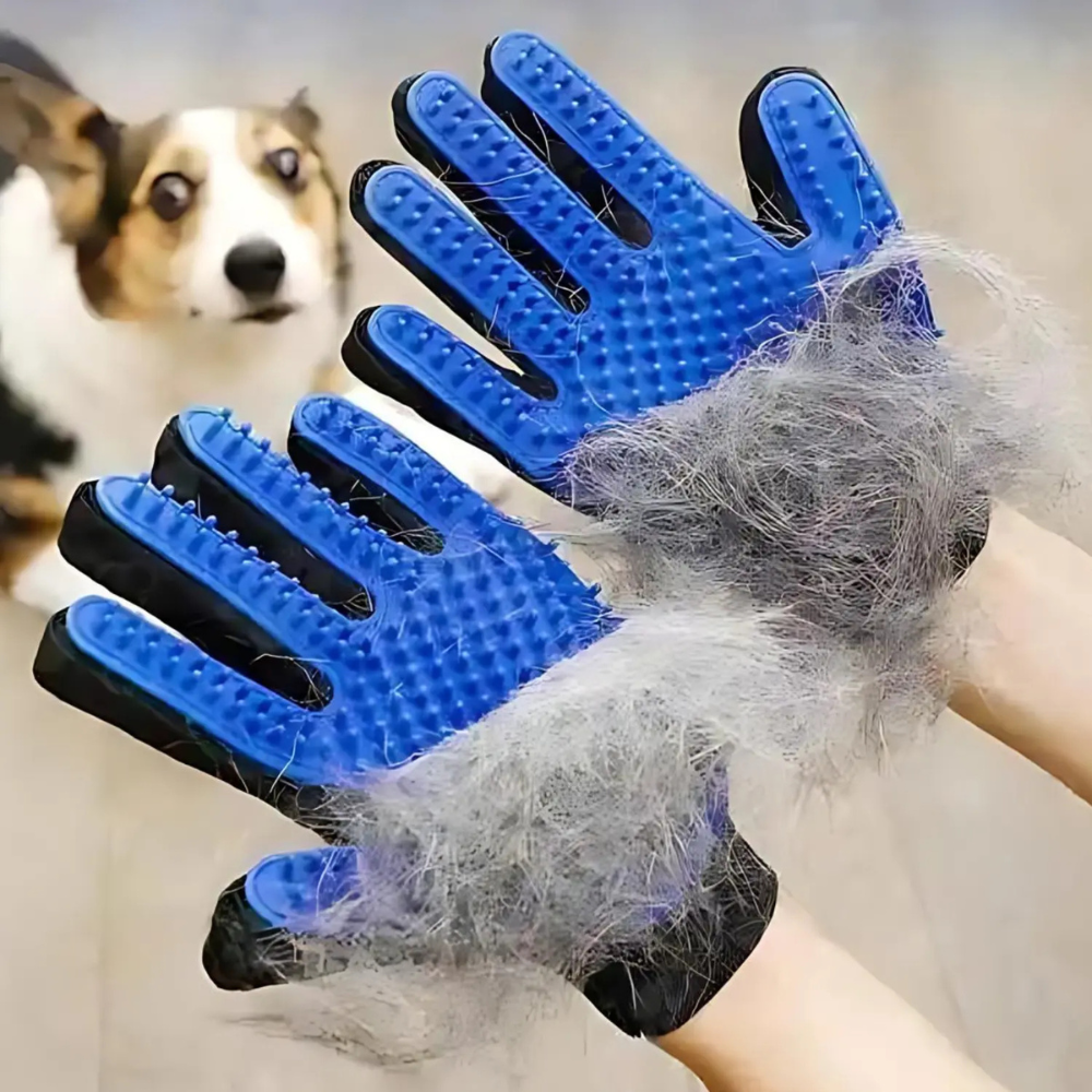6a63363726c1f.png