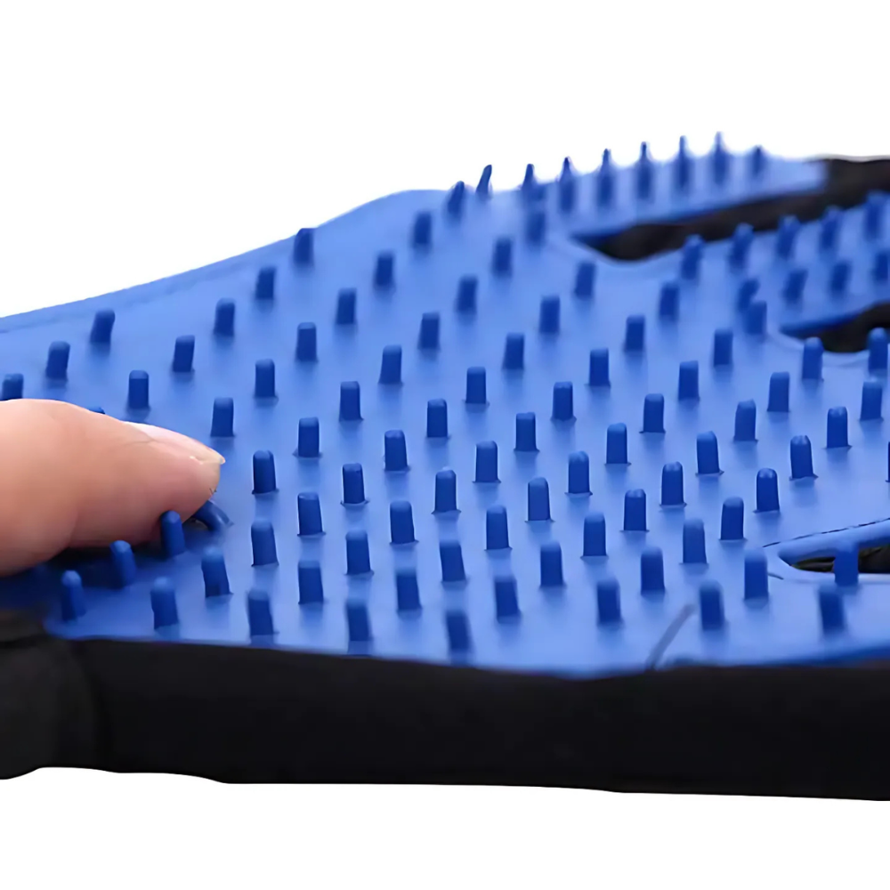 6a63366a5fa37.png