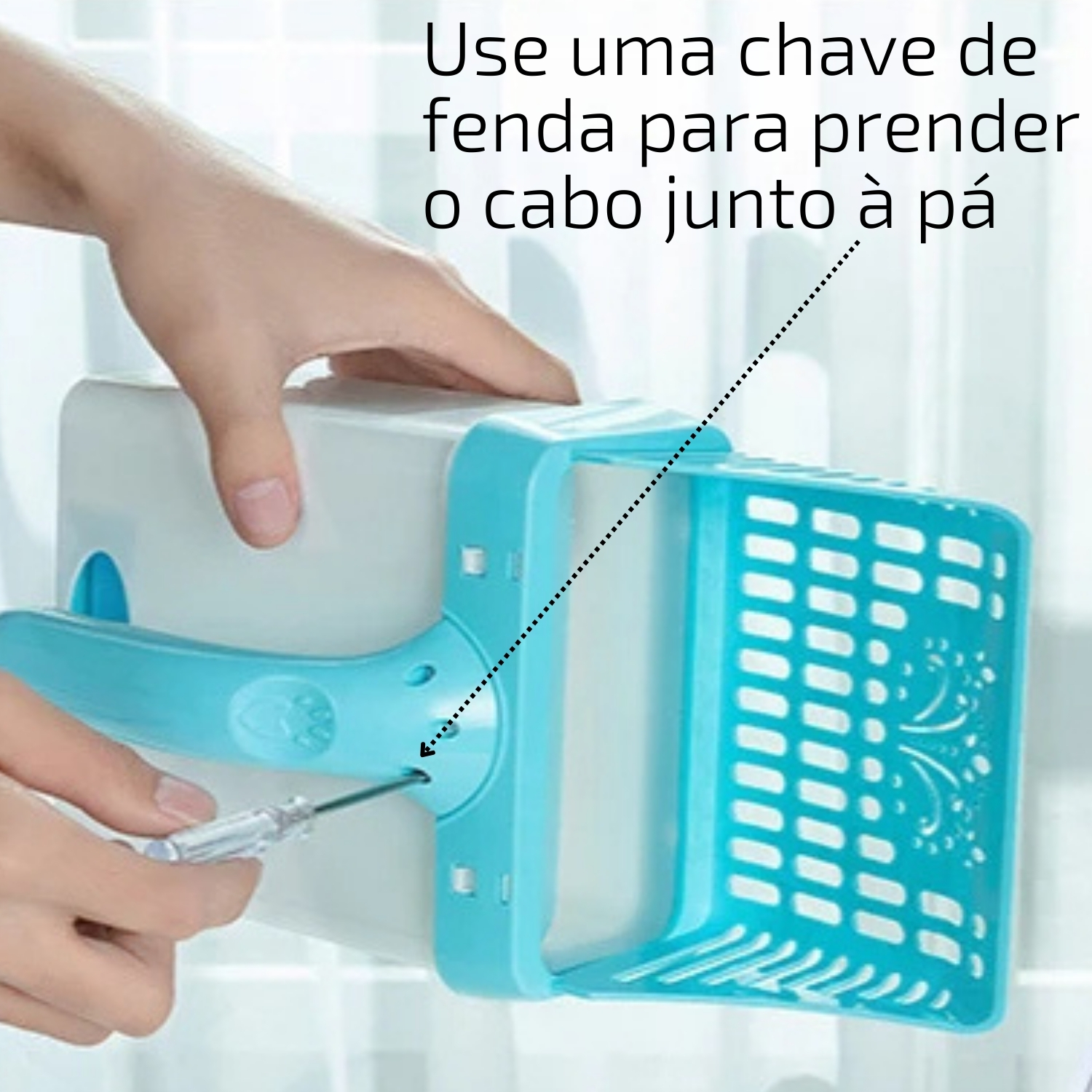 6a672cbf9beb0.jpg
