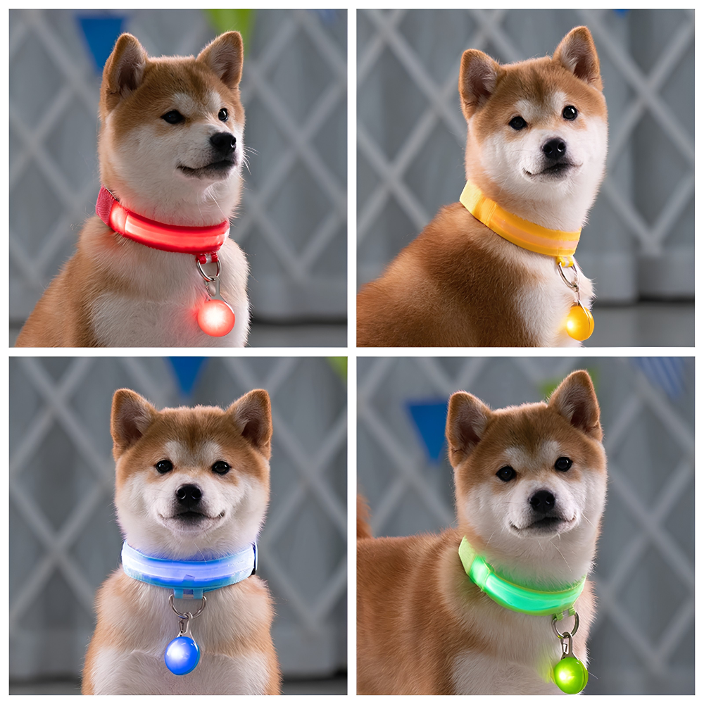 6a71d92a3391d.png