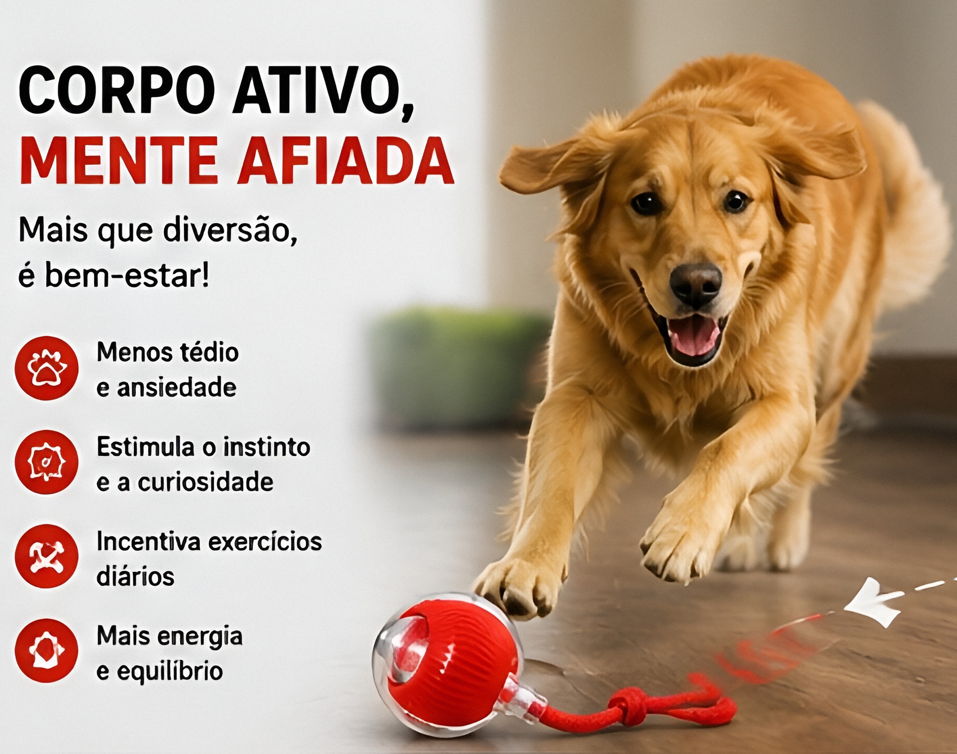 6a733f2c7d593.jpg