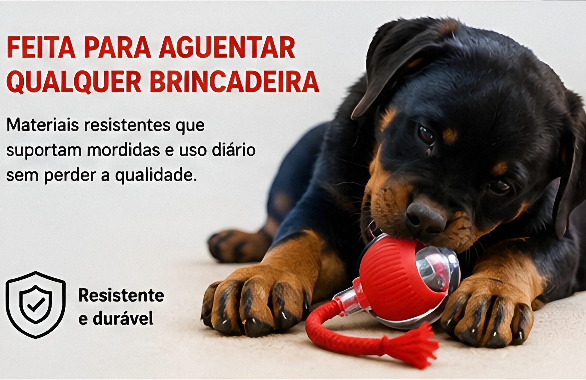 6a733f771862e.jpg