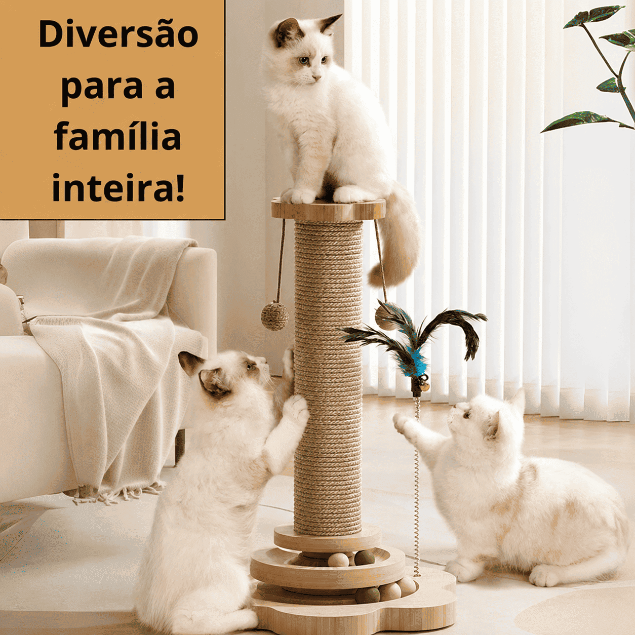6a85cd835f4ee.png