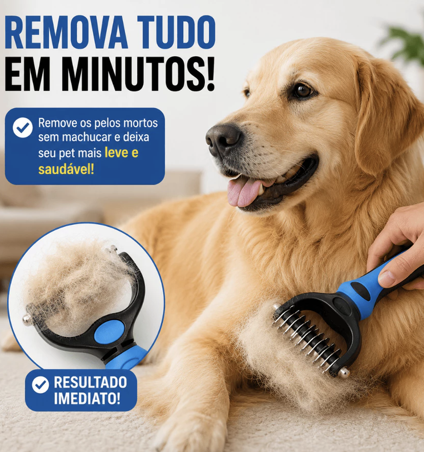 6a860a545d377.png