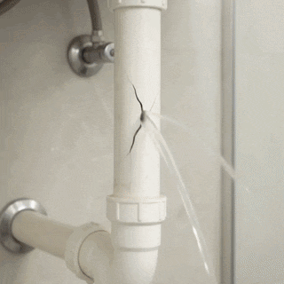 6a95e8f56a598.gif