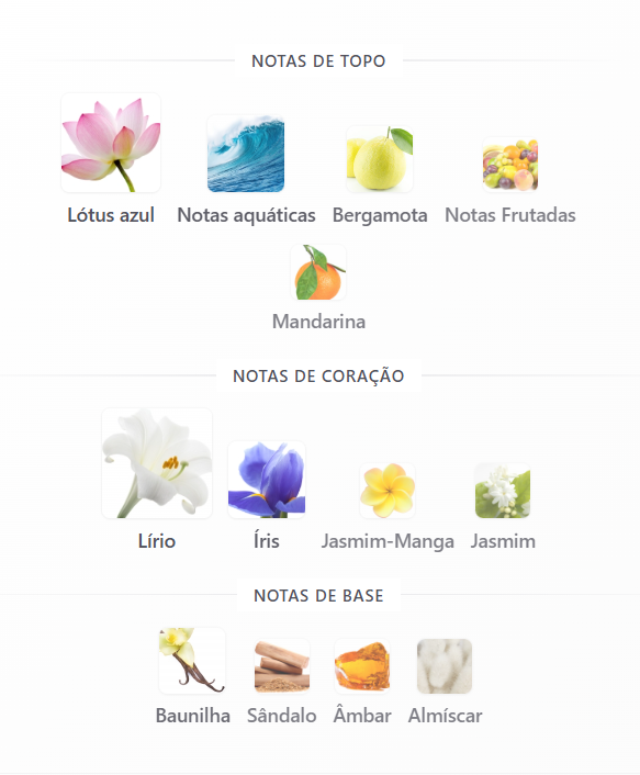 6a96fd3fc9d83.png