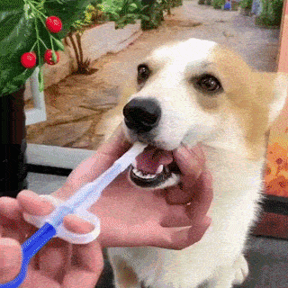 6ad268c74a6fc.gif