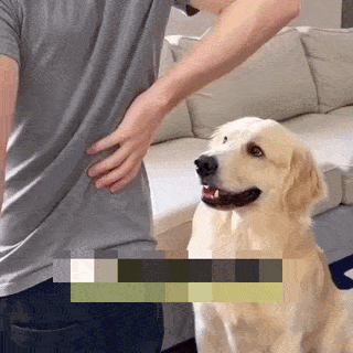 6adbd44e2d3bc.gif